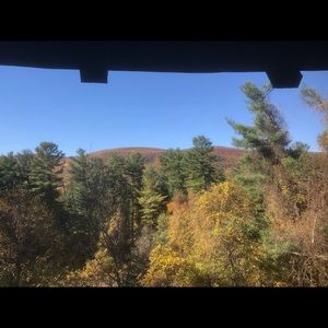 Meet your Posher, Shawn